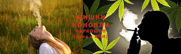 PSILOCYBIN Волосово